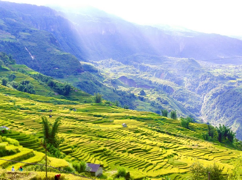 Chương trình khám phá Tràng An – Tam Cốc Bích Động – Đầm Sen 1 ngày cho đoàn 10 khách