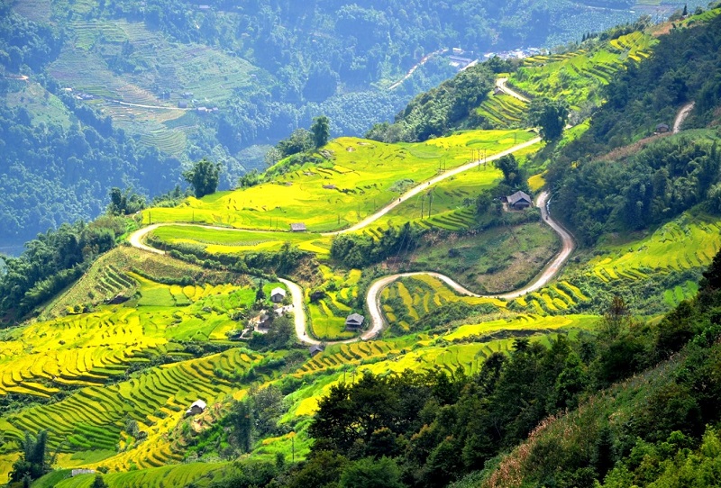 Chương trình khám phá Tràng An – Tam Cốc Bích Động – Đầm Sen 1 ngày cho đoàn 10 khách