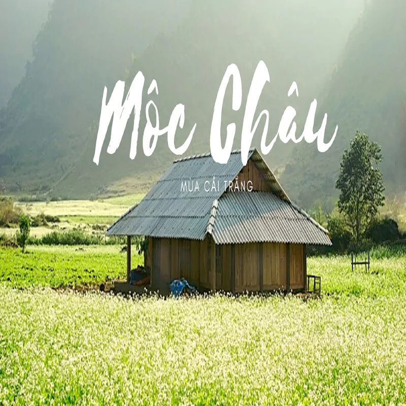 Moc Chau