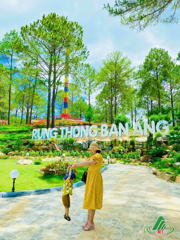 Tour Mộc Châu 2N1Đ