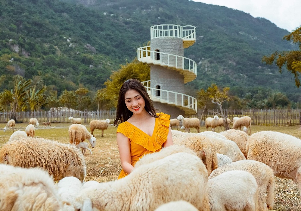 Tour Ninh Thuận – Bình Thuận 4N3Đ